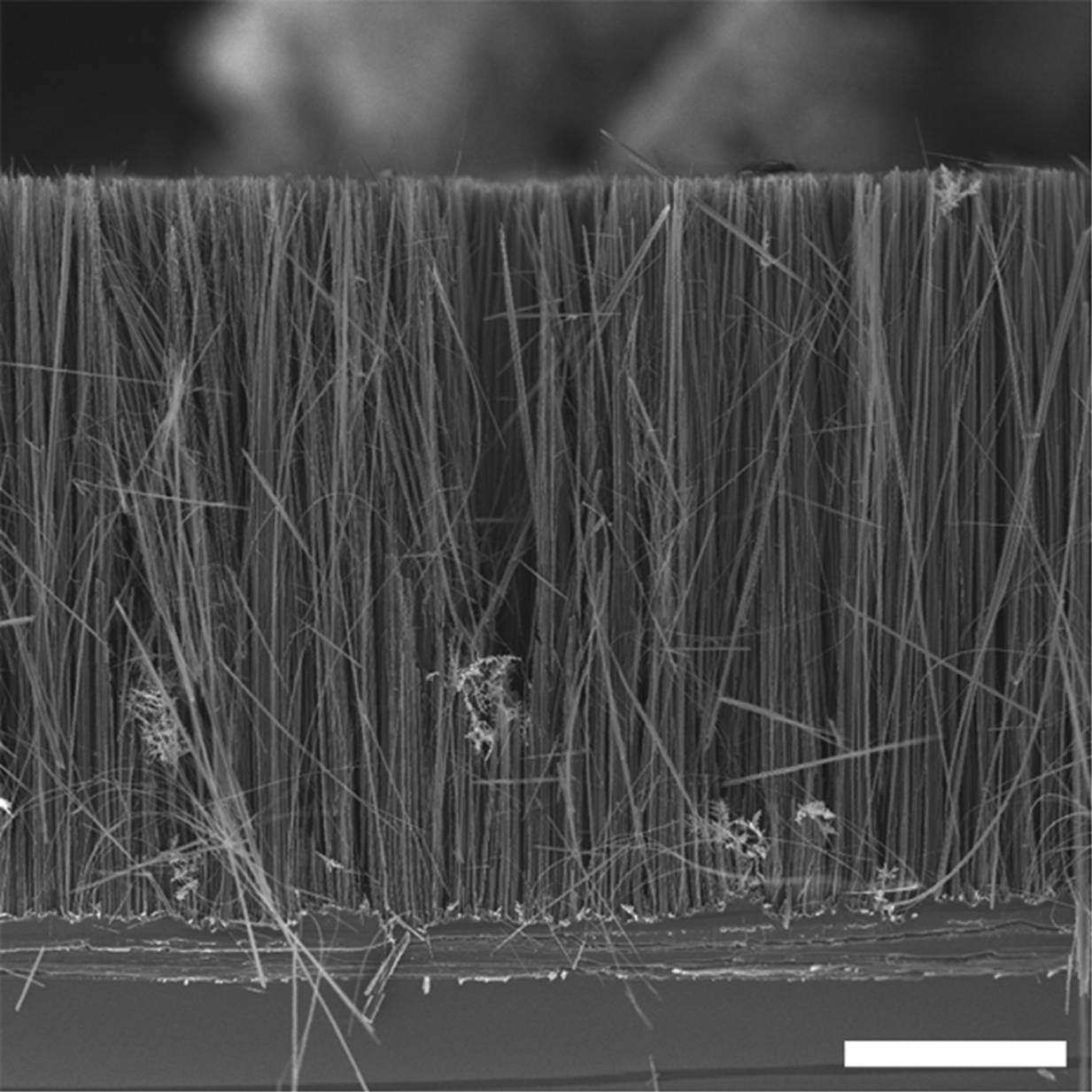  nanowire uses