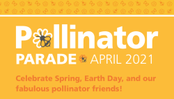 Pollinator Parade Logo - Science Center of Iowa
