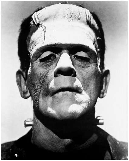 Photograph of Boris Karloff as Frankenstein’s monster from Wikimedia Commons. Retrieved from: https://commons.wikimedia.org/wiki/File:Frankenstein%27s_monster_(Boris_Karloff).jpg