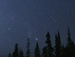 NASA photo of the 2018 Perseids meteor shower over tall trees