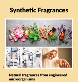 The "Synthetic Fragrances" card from the new set, includes large image of flowers and essential oils on top of two smaller images, one of lab equipment and someone in a cleanroom suit, another just two hands applying perfume to the wrist
