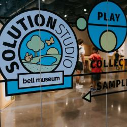 Glass window with a round logo that reads "Solutions Studio, Bell Museum" and has a small illustrated nature scene with a squirrel, tree, sun and butterfly.