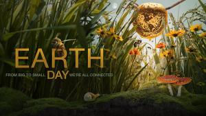 NASA Earth Day 2021 image with bumble bee in grass