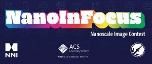NanoInFocus contest logo