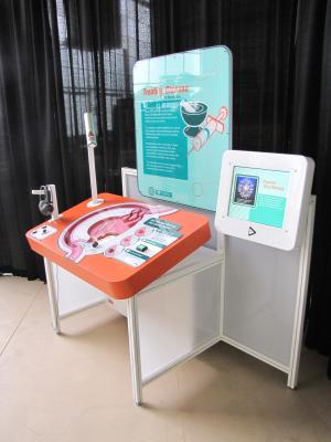 Large interactive orange and blue exhibit with a large diagram of an organ and an interactive touchscreen display