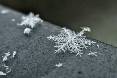 Snowflake photo magnified