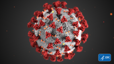 Coronavirus COVID-19 image from CDC