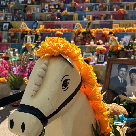 Dia de Los Muertos display - a colorful collection of flowers and photos of those passed. In the foreground is a handmade table top horse next to a couple's wedding photo.