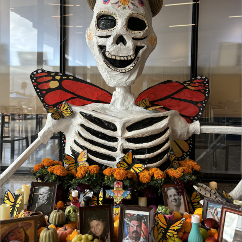 A colorful display of flowers and photos of loved ones passed, in the background is a large skeleton with butterfly wings