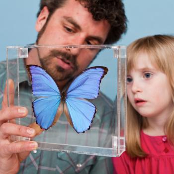 Educator and young learner looking at a butterfly