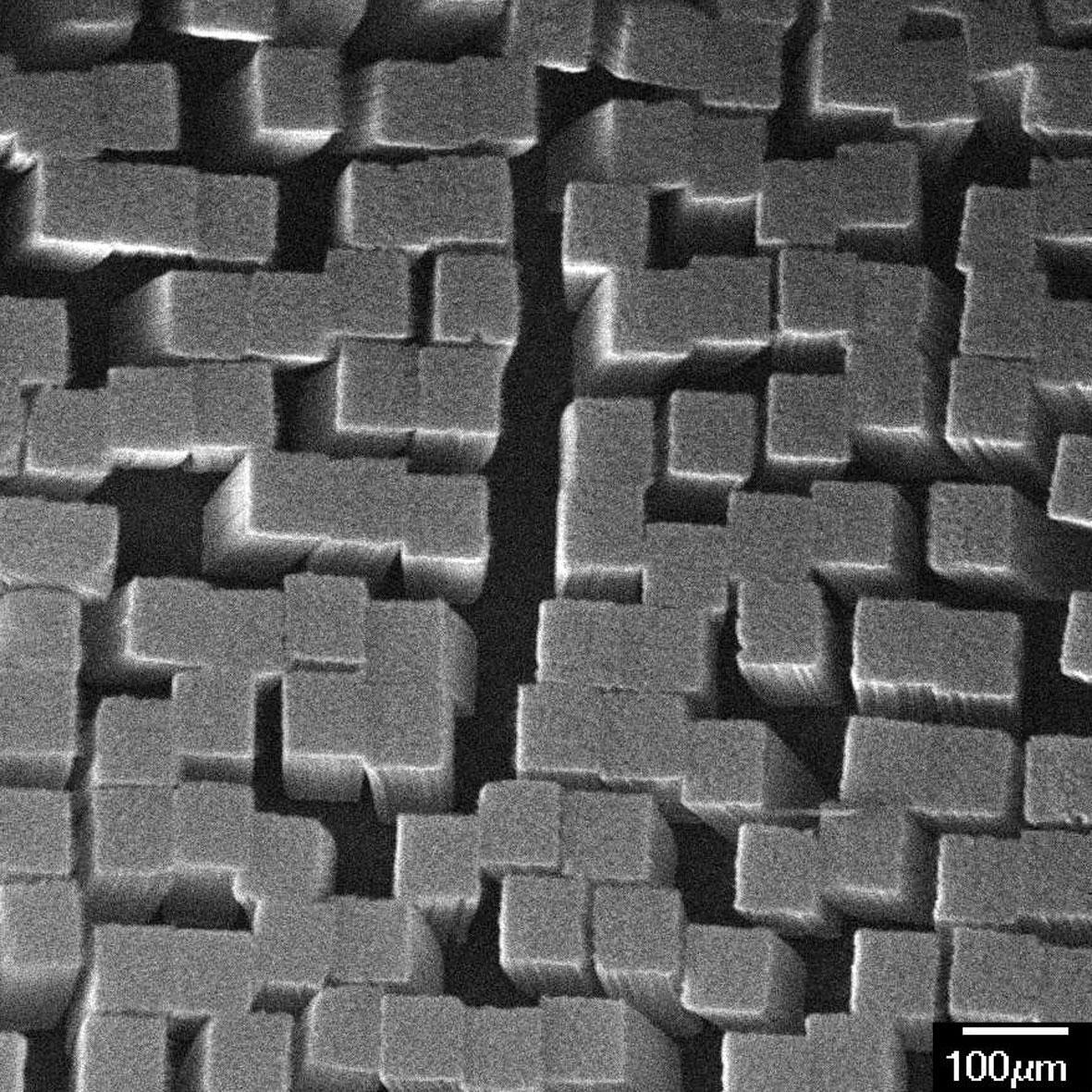 Magnified image of nanotubes mimicking gecko feet using a Scanning Electron Microscope.