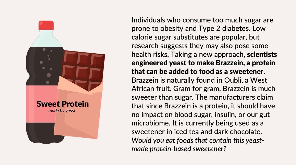 The Sweet Protein Card from the Bio Bistro Activity, shows a soda bottle next to a chocolate bar