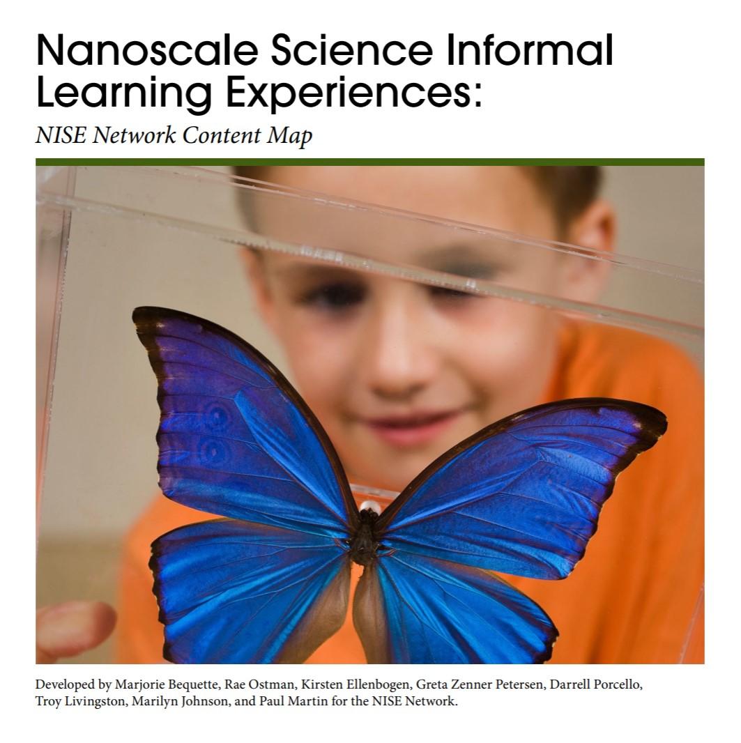 cover image of the nano content map