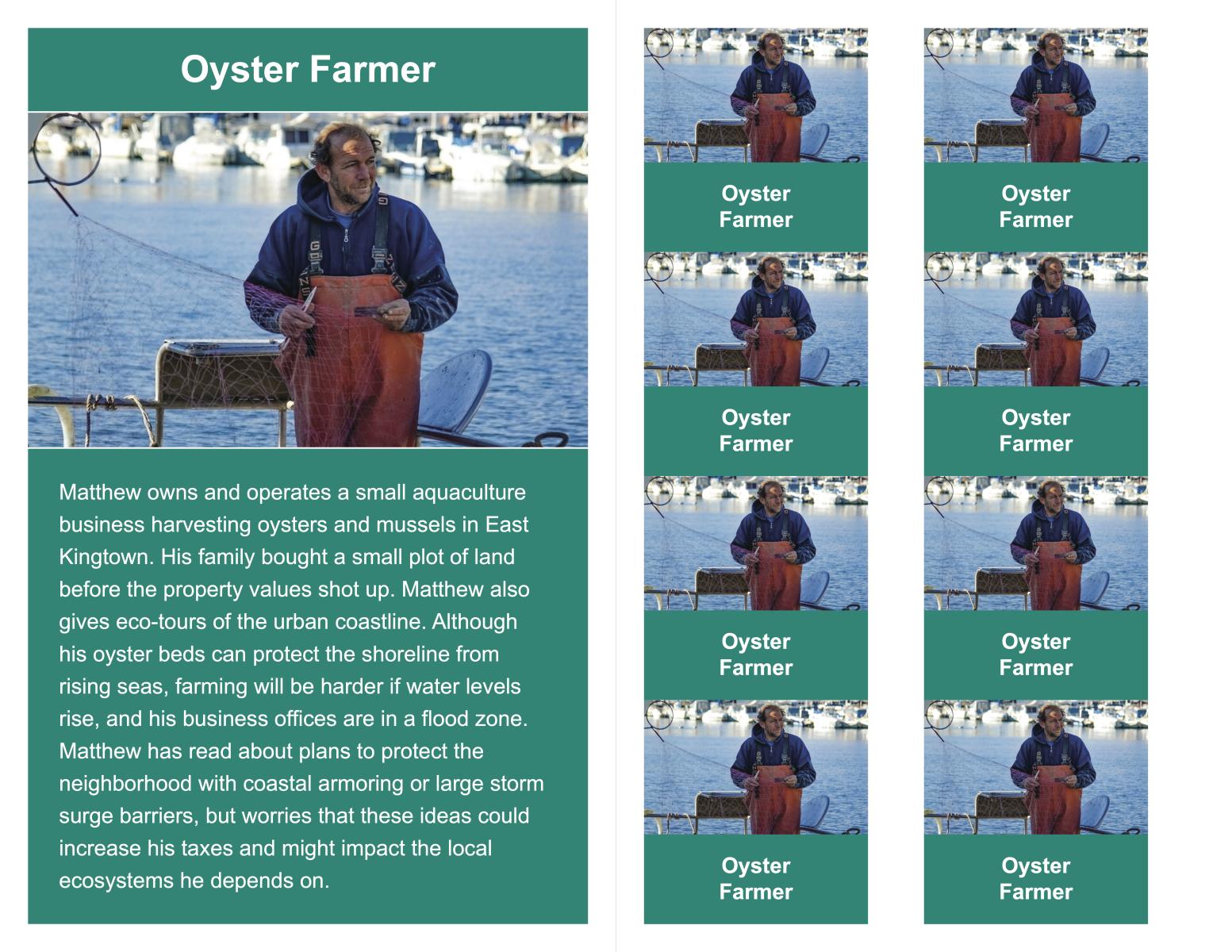 Sea Level Rise Elements Oyster Farmer cards