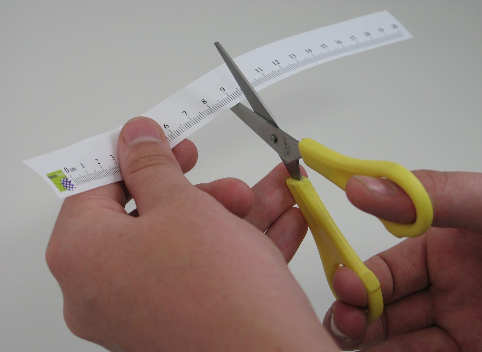 Exploring Size Tiny Ruler NISE Network