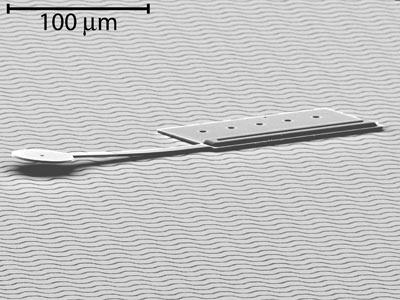 A micrograph of a really small robot