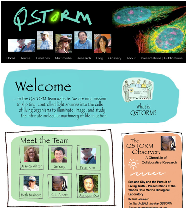 The QSTORM website homepage 