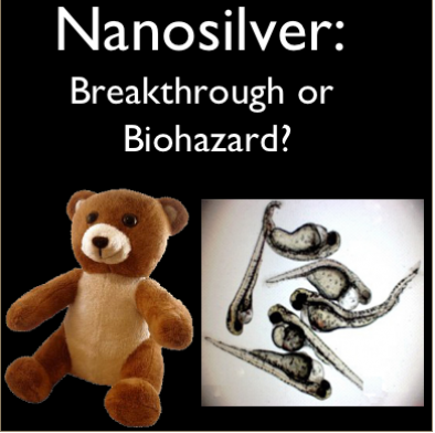 Snapshot of a Nanosilver presentation slide