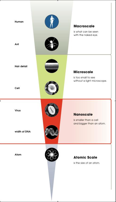 Scale ladder posters showing macro scale down to the atomic scale
