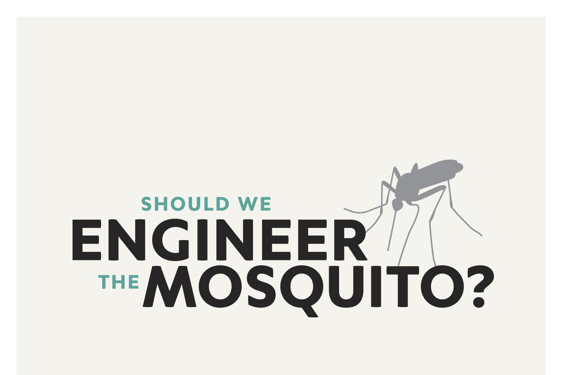 Should we engineer the mosquito promotional sign showing image of mosquito
