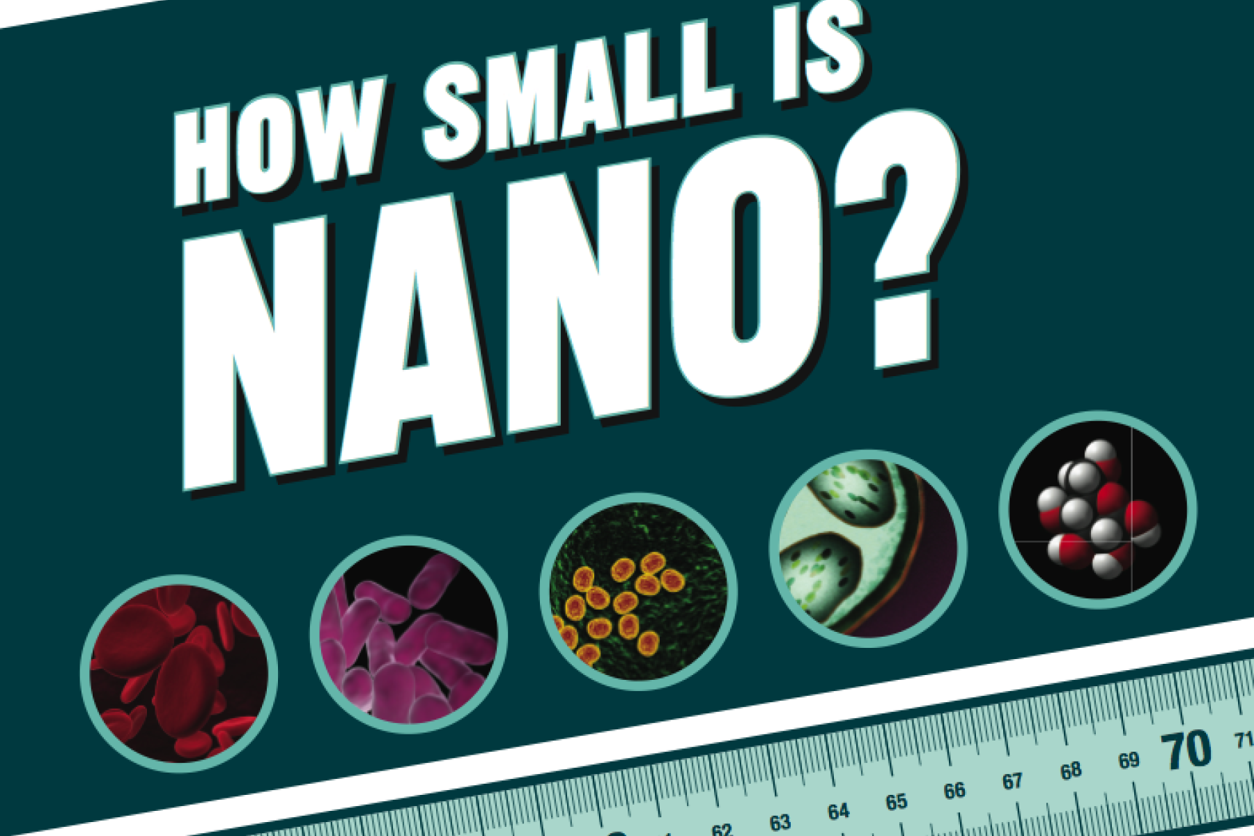 "How Small is Nano?" with five images of various cells and a ruler just below