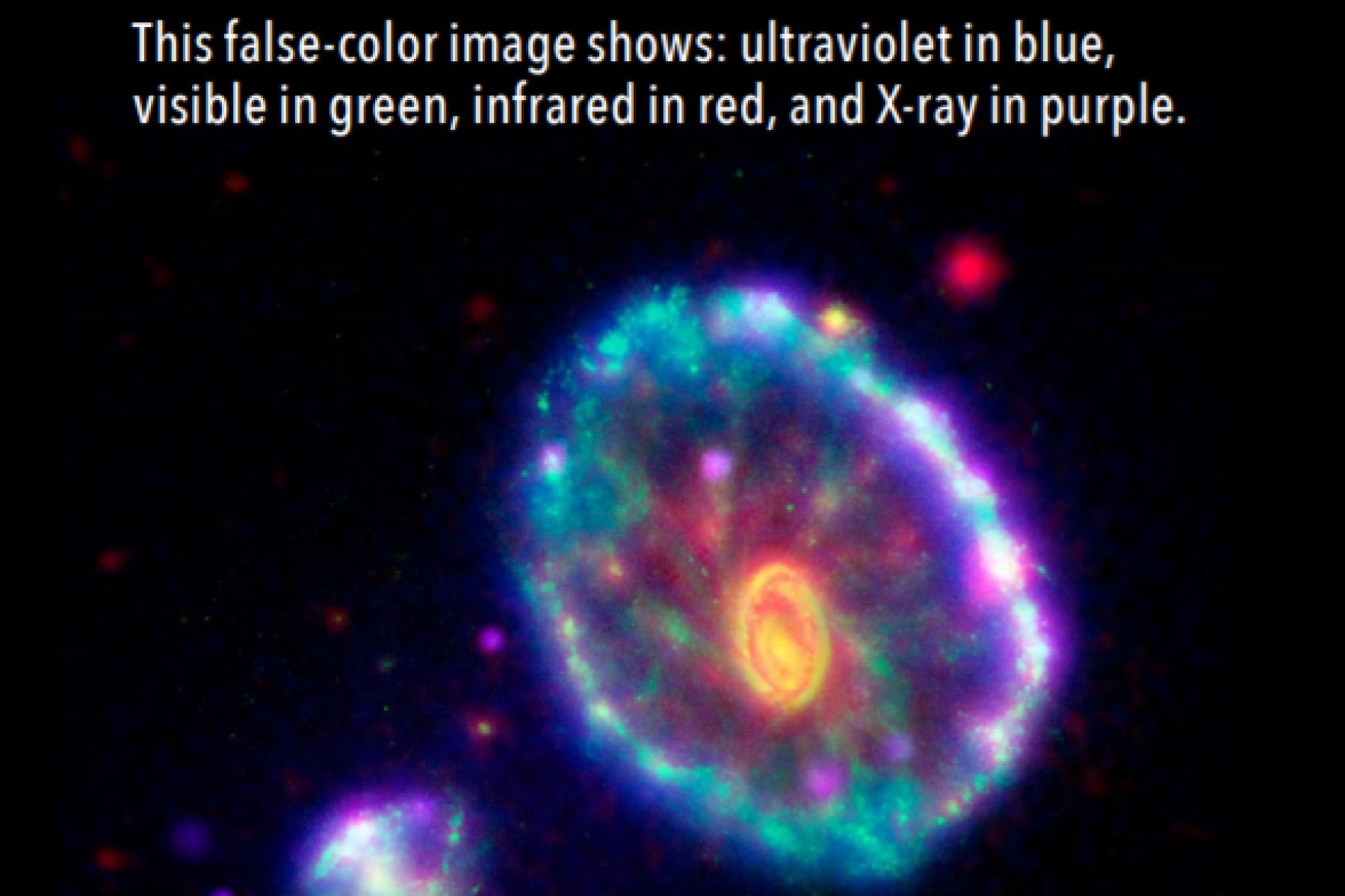 An image of the Cartwheel Galaxy