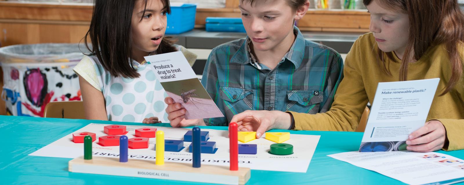 Children using Building with Biology kit of parts activity with colored blocks and cards
