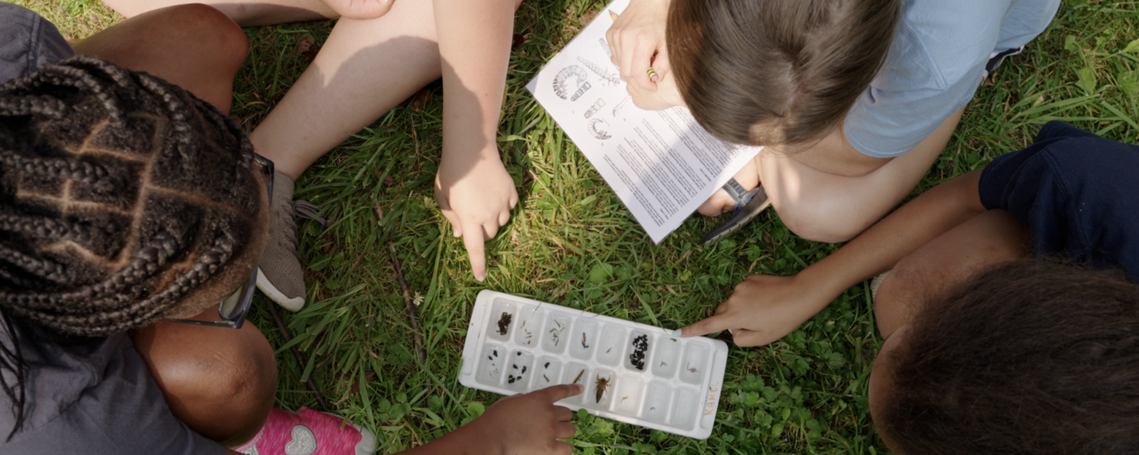 Children participating in Creek Week in North Carolina making observations and recording data outdoors