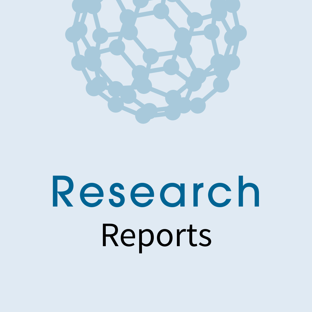 Research Report icon